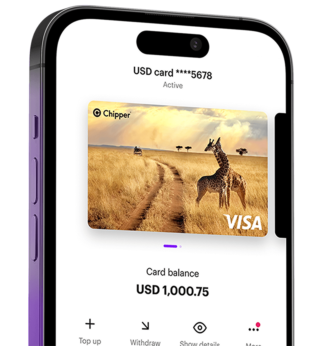 Chipper App Interface